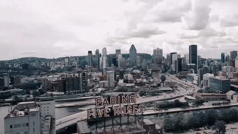 Montreal City Animation
