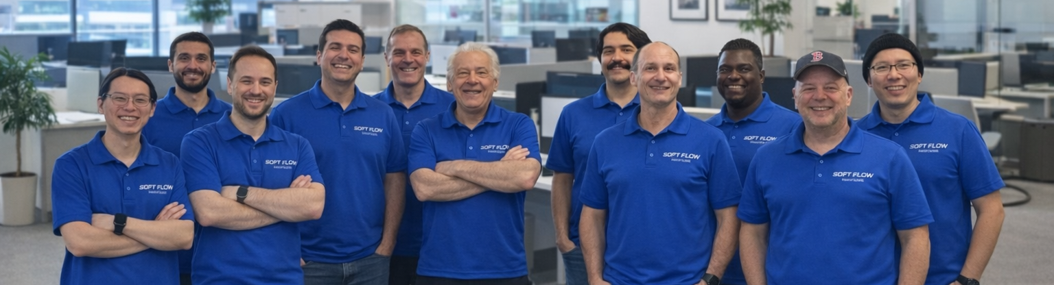 SoftFlow Team Picture